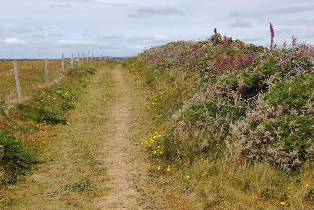 Farm Accommodation - The Lizard Peninsula, Cornwall Хелстон Экстерьер фото