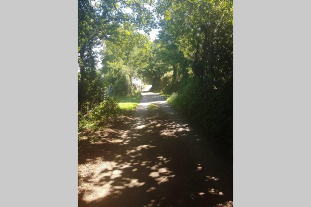 Farm Accommodation - The Lizard Peninsula, Cornwall Хелстон Экстерьер фото