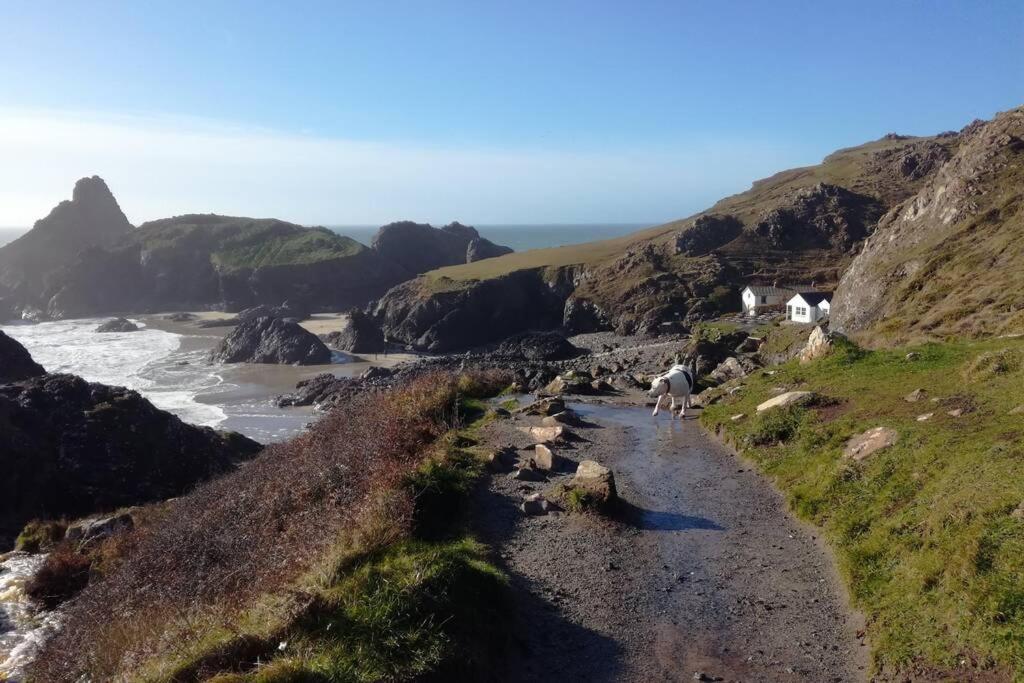 Farm Accommodation - The Lizard Peninsula, Cornwall Хелстон Экстерьер фото