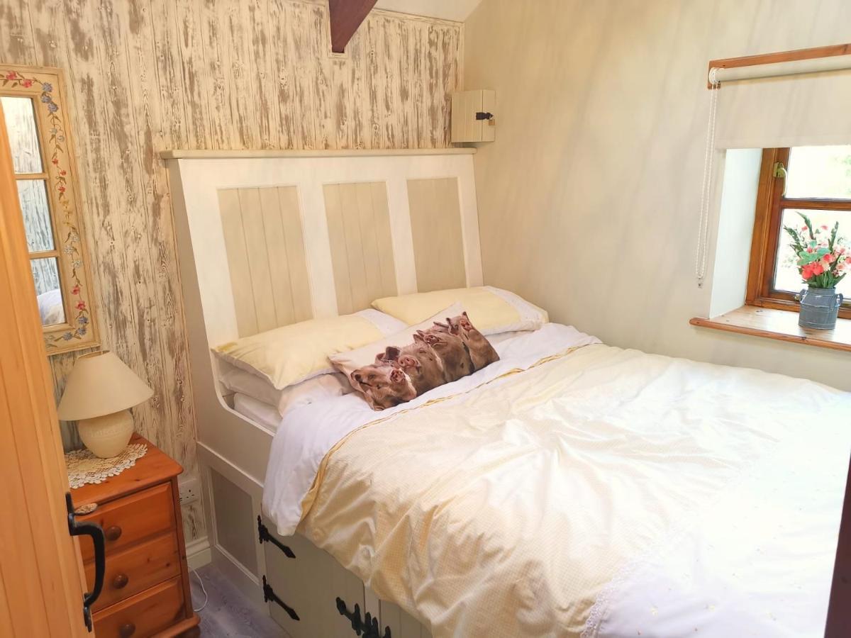 Farm Accommodation - The Lizard Peninsula, Cornwall Хелстон Экстерьер фото