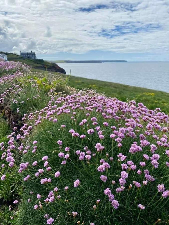 Farm Accommodation - The Lizard Peninsula, Cornwall Хелстон Экстерьер фото