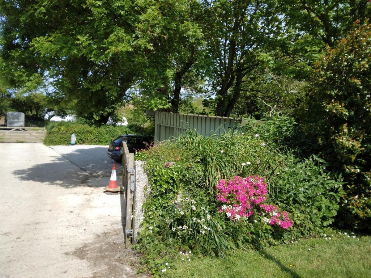Farm Accommodation - The Lizard Peninsula, Cornwall Хелстон Экстерьер фото
